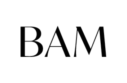 Bam Development